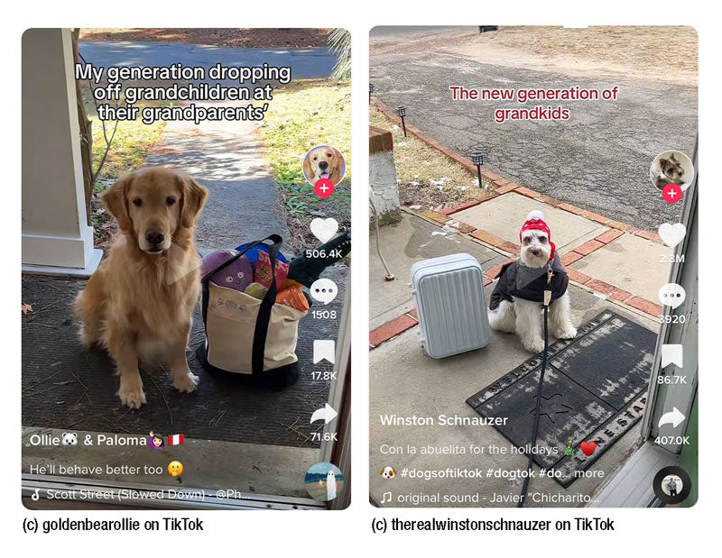 The New Generation of Travelers