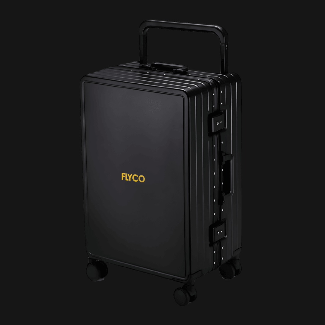 muji luggage singapore