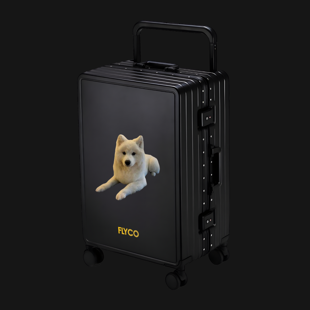 hush puppies luggage singapore