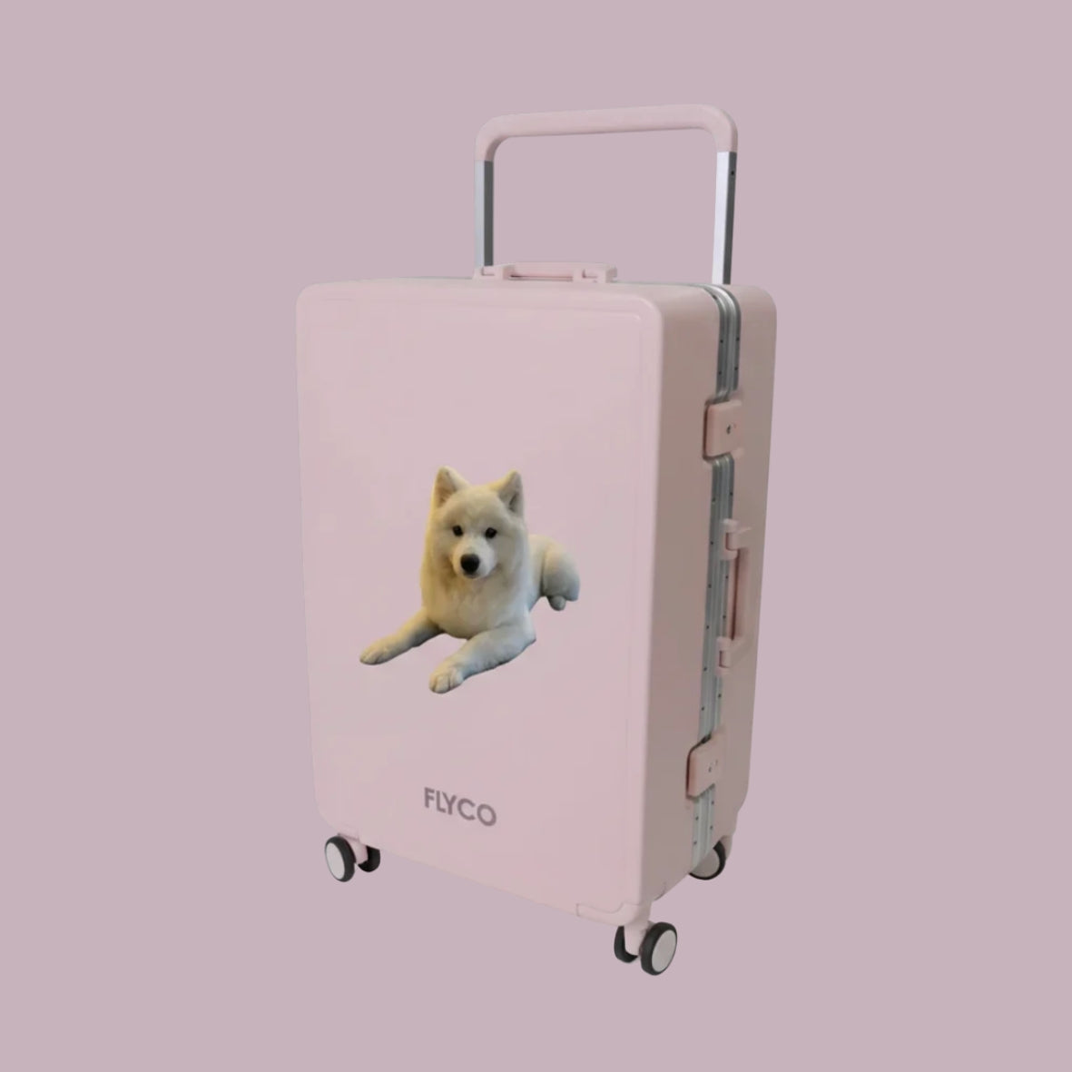 Pets Series